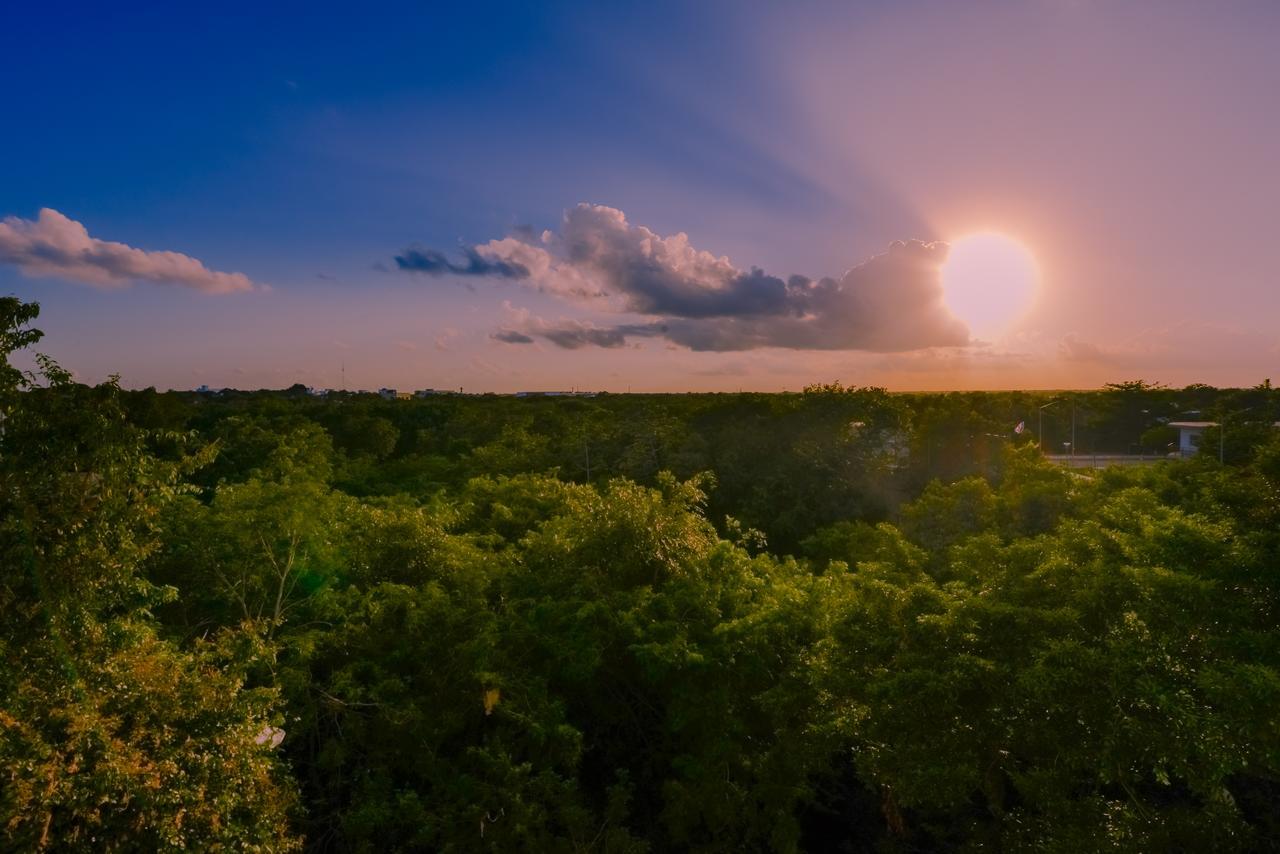 Condo Casa Del Arbol Playa del Carmen Zewnętrze zdjęcie