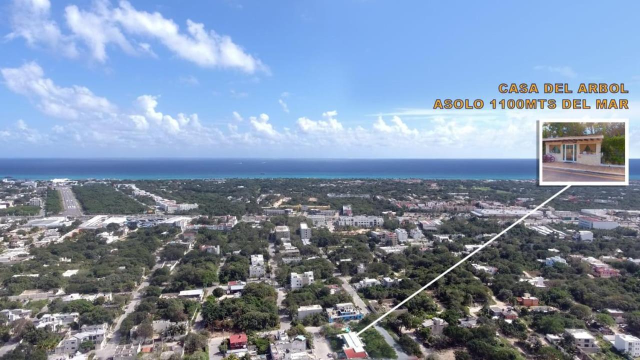 Condo Casa Del Arbol Playa del Carmen Zewnętrze zdjęcie